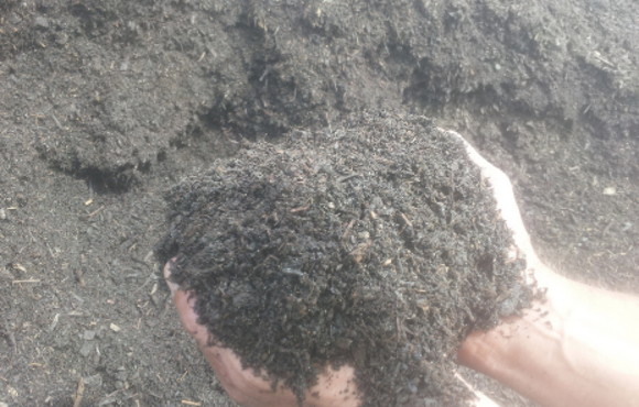 hands holding compost
