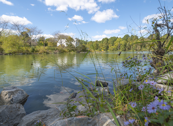Centennial Lake