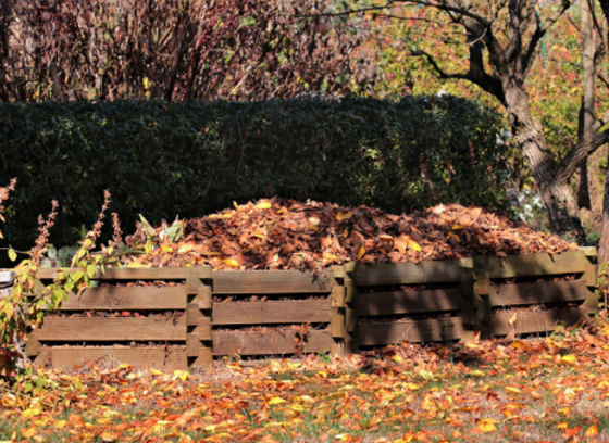 three wood pallet compost bins filled with leaves
