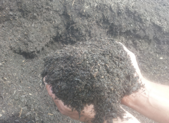 hands holding compost