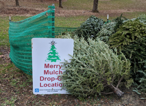 metal merry mulch drop-off sign leaning on a pile of holiday trees