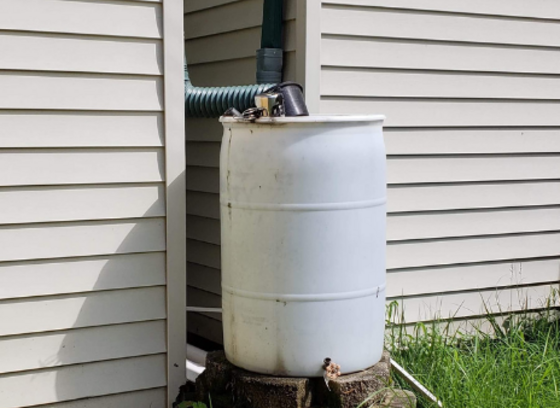 In this color photo, a white 50-gallon rain barrel stands next to a tan building's downspout. 