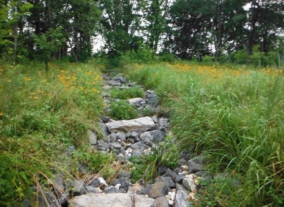 This is a color photo of a stone stormwater outfall channel surrounded by wildflower meadow grasses.