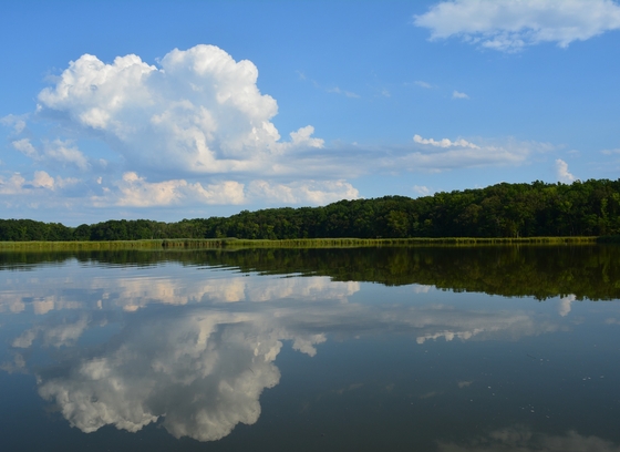 A color photo shows the Chesapeake Bay reflecting blue sky and fluffy white clouds. A wooded shore lines the bay in the background.