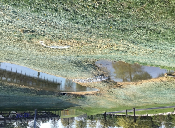 Pond Rehab