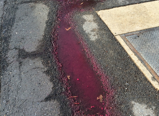 A puddle of red paint pools in a roadway.