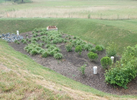 This color photo shows a micro-bioretention facility, a small depressional area topped with grasses, shrubs, and mulch.