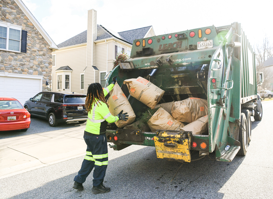 worker loading yard trim bags into back of collection truck