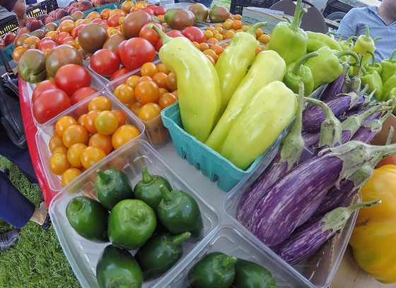 Produce stand with buckets of green, red, and orange peppers, eggplants, squash, and more.